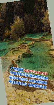 临桂借腹生子汽配门市部